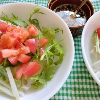 たっぷり野菜に手作りドレッシングを添えて☆彡